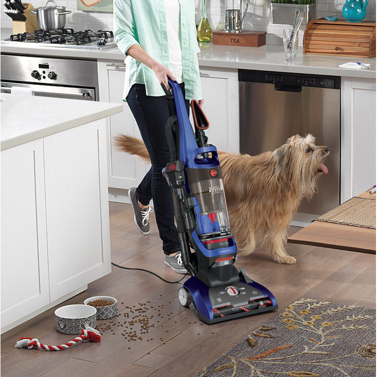 Hoover Wind Tunnel 2 Whole House Rewind Bagless Upright Vacuum & Reviews Wayfair Canada